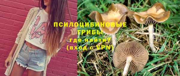 бошки Покровск