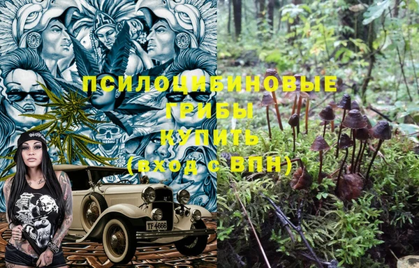mdpv Абдулино