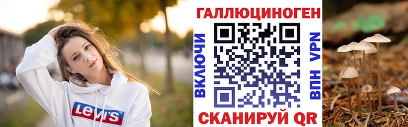 где купить наркотик  Котово  Псилоцибиновые грибы мухоморы 